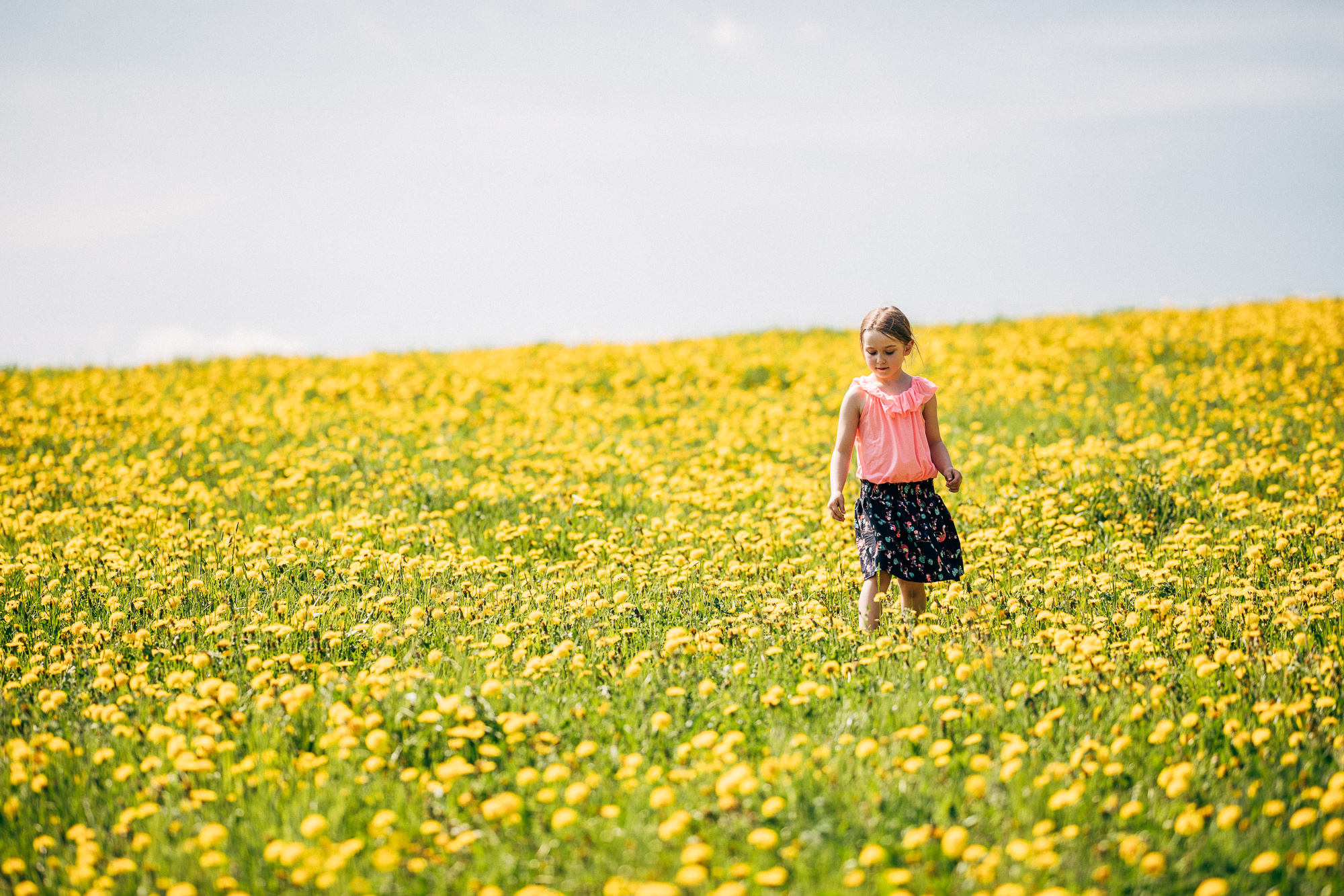 Export x3 5D4 5503 Geburtstag 75 Klara @ Golffricktal